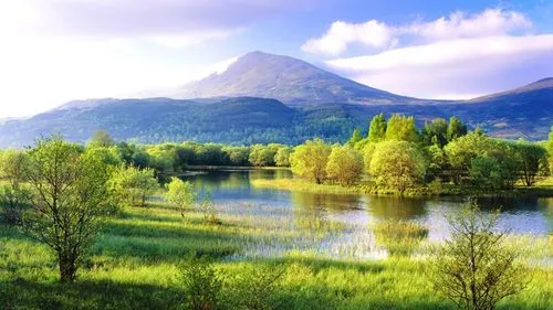 智能化全自动